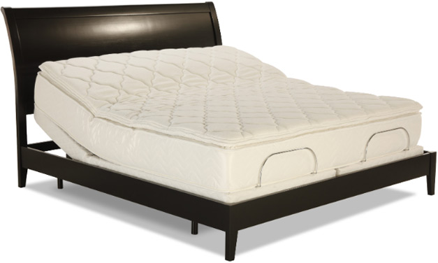 Thousand Oaks L & P Prodigy Leggett Platt power bed