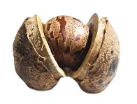 Best rated natural mattress